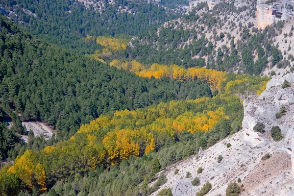 Kanjon av floden vargar, soria, castilla y leon, Spanien — Stockfoto