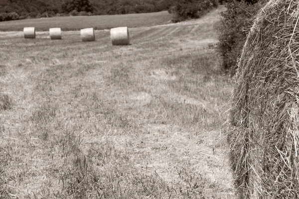Bales of straw, Mountain range of Urbasa, Navarra, Spain — Stock Photo, Image