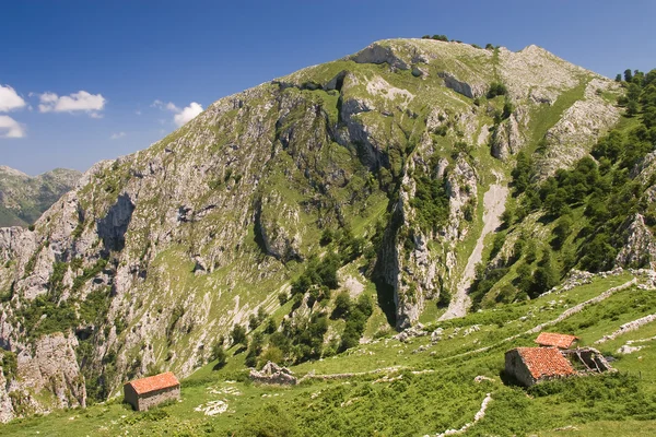 Picos de europa national park, asturias, Hiszpania — Zdjęcie stockowe