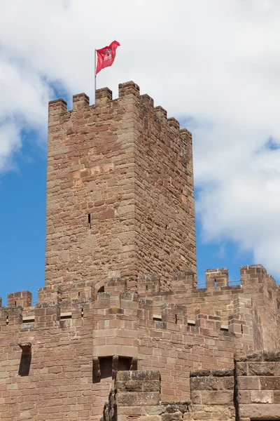 Κάστρο του javier, navarra, Ισπανία — Φωτογραφία Αρχείου