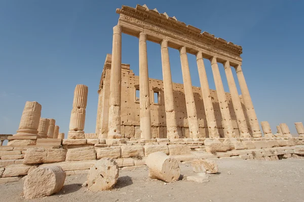 Rauniot Palmira, Syyria — kuvapankkivalokuva