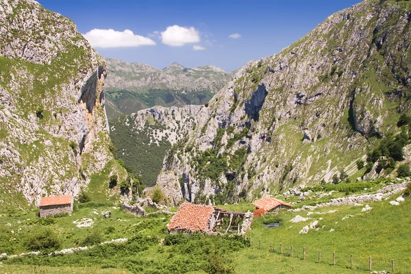 Picos de europa národní park, asturias, Španělsko — Stock fotografie