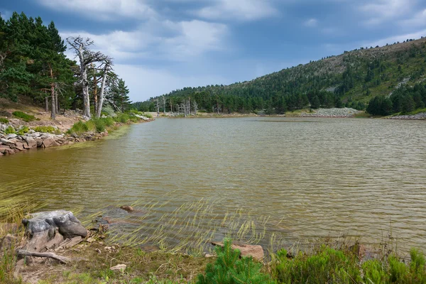 Sjön av ankor, Cecileé sjöar, burgos, castilla y leon, Spanien — Stockfoto