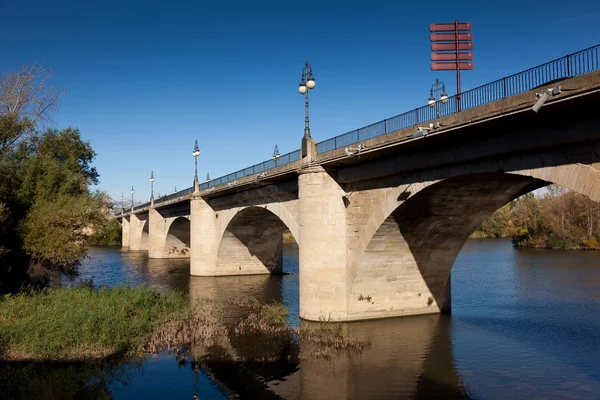 Bridge of stone, Logroño, La Rioja, Spain — 图库照片