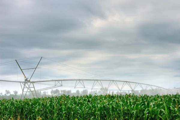 stock image Irrigation, Bordeaux, Aquitaine, France