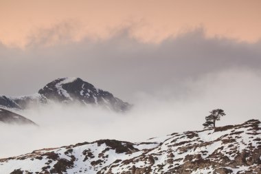 pirenees, larra belagua, navarra, İspanya