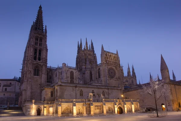 Caduta nella Cattedrale di Burgos, Castilla y Leon, Spagna — Foto Stock
