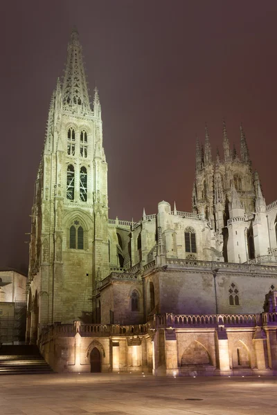 Nightfall i katedralen i burgos, castilla y leon, Spanien — Stockfoto