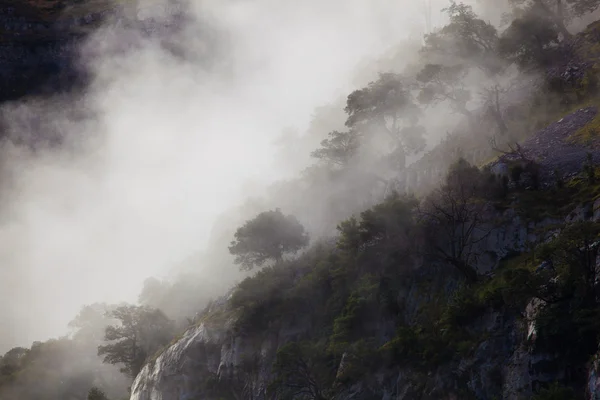 Niebla en el parque natural de Collados del Ason, Cantabria, España —  Fotos de Stock
