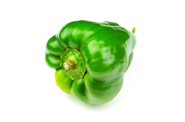 Groene paprika Stockafbeelding