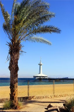 Underwater observatory , eilat clipart