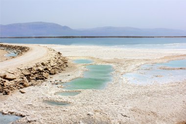 Salty Dead Sea shore clipart