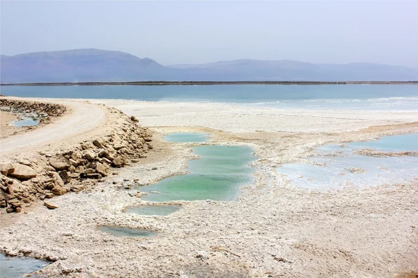 Salty Dead Sea shore — Stock Photo, Image