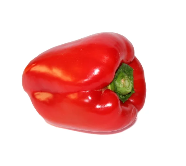 Red pepper isolated Stock Picture