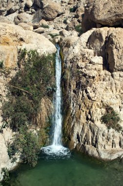 Ein Gedi waterfall clipart