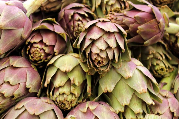 Freshly artichoke — Stock Photo, Image