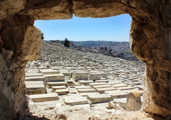 유태인 묘지 — 스톡 사진