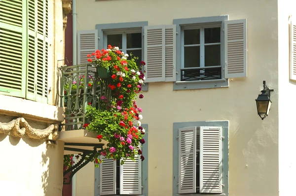 Blumen an den Fenstern — Stockfoto