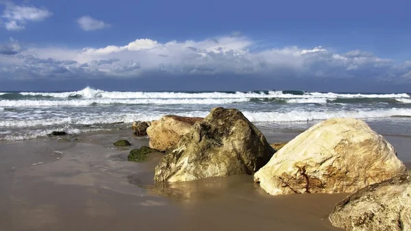 Pedras na praia — Fotografia de Stock