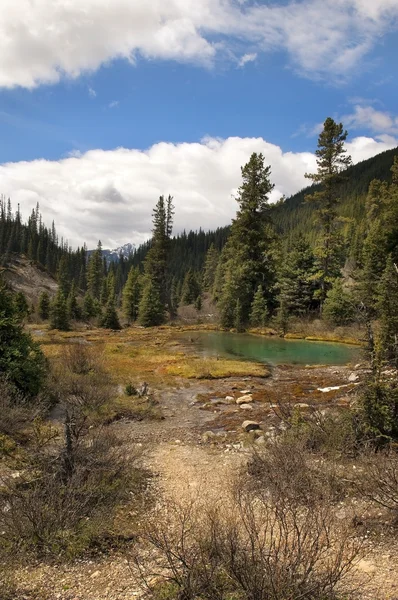 stock image A small lake in the mountains