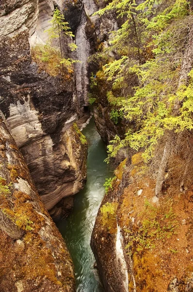 Un torrente furioso un canyon di montagna — Foto Stock