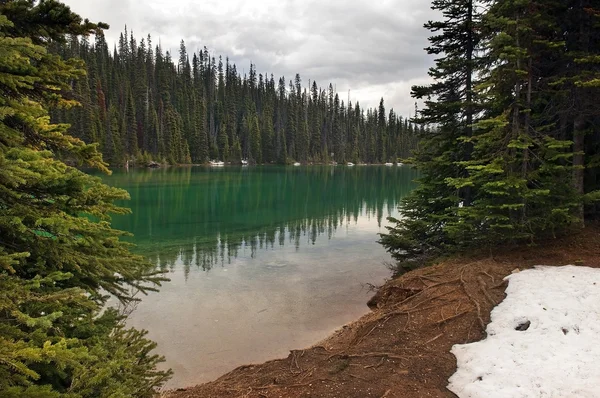 Emerald lake in Argentina — Stock Photo, Image