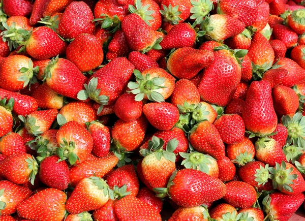 stock image Fresh strawberry