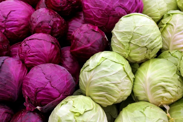 stock image White and purple cabbage