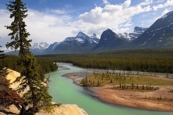 Le possenti Montagne Rocciose canadesi — Foto Stock