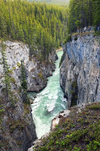 Fiume di montagna rapido — Foto Stock