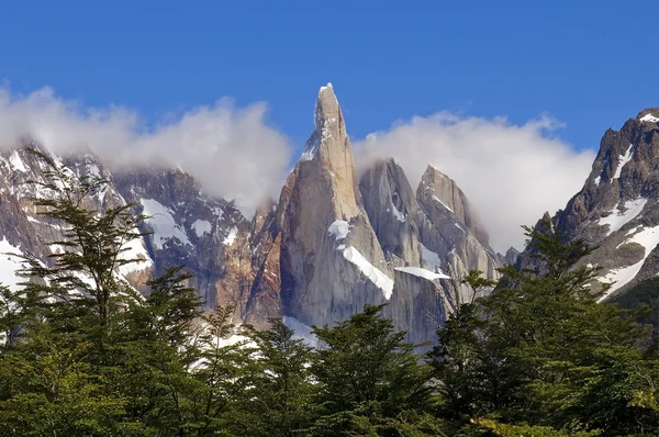 Top fitz roy