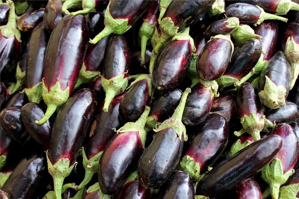 Mørkeblå aubergine - Stock-foto