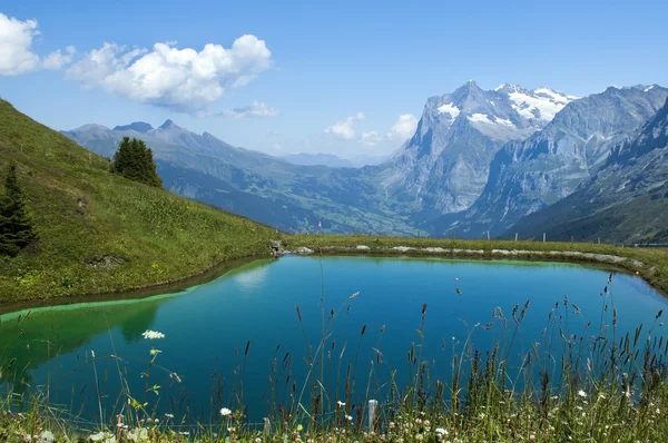 스위스 알프스의 호수 — 스톡 사진