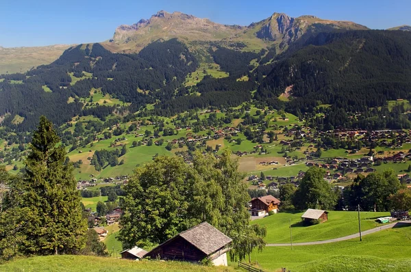 Pastorální Švýcarsko — Stock fotografie