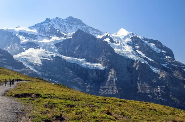 在瑞士的阿尔卑斯山的雪山峰 — 图库照片