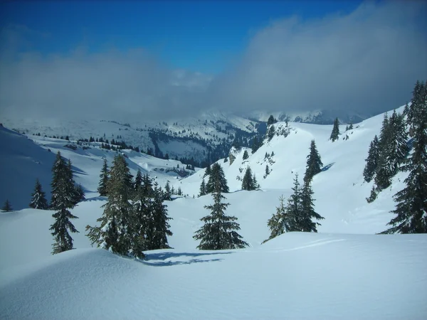 stock image Snow-capped Alps