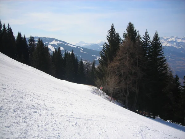 Alpi plafonați de zăpadă — Fotografie, imagine de stoc
