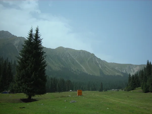 stock image Green valley in th mountains of Kyrgyzstan