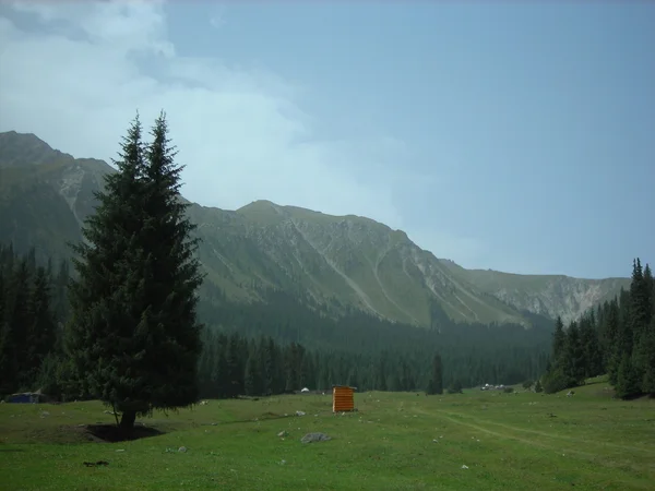 キルギスの th 山の緑の谷 ロイヤリティフリーのストック画像