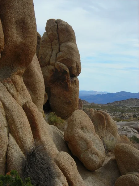 平和、岩、ジョシュア ツリー ロイヤリティフリーのストック画像