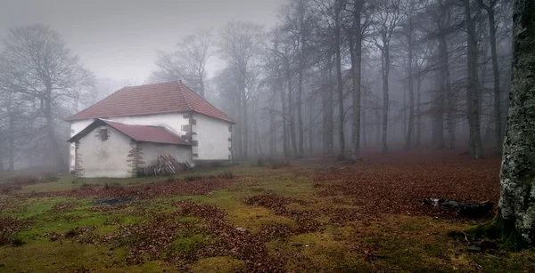 stock image House in the fog