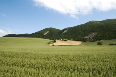 Mısır gevreği peyzaj