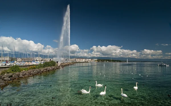 stock image Lehman Lake