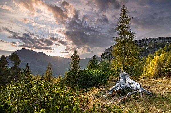 Закат над Альпами
