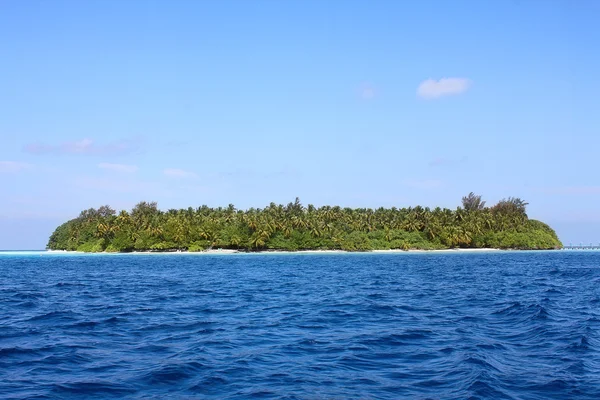 Maldive — Stock Photo, Image