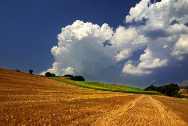 Toskana Manzarası