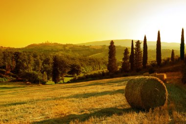 Sunset Tuscany landscape clipart