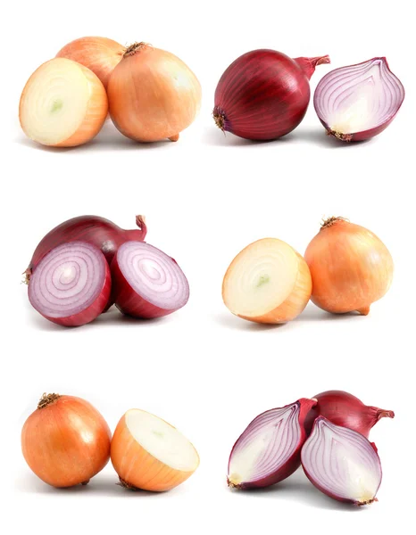 Onions collection — Stock Photo, Image