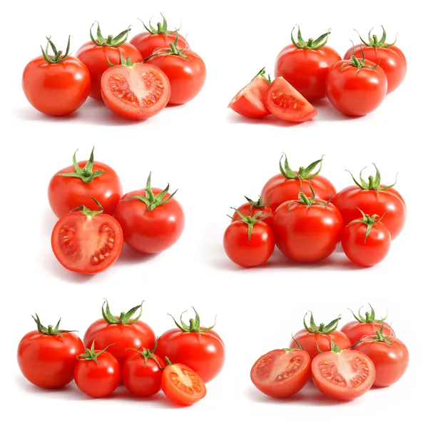 Coleta de tomates isolada em branco — Fotografia de Stock