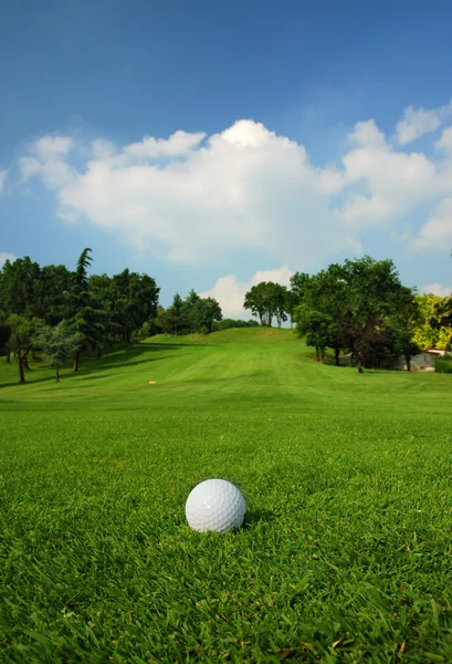 stock image Golf course